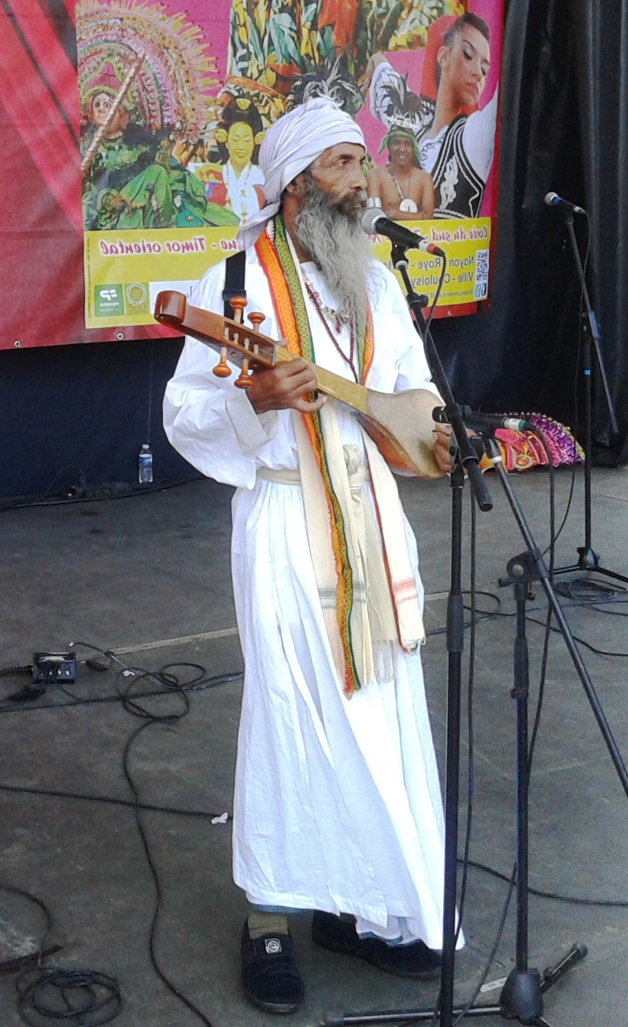Gannat Festival, 2015